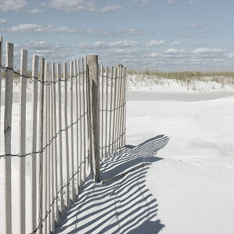 Plage 9 Gold Ornate Wood Framed Art Print with Double Matting by Braun Studio