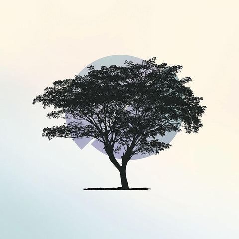 Spectrum 2 Black Ornate Wood Framed Art Print with Double Matting by Braun Studio