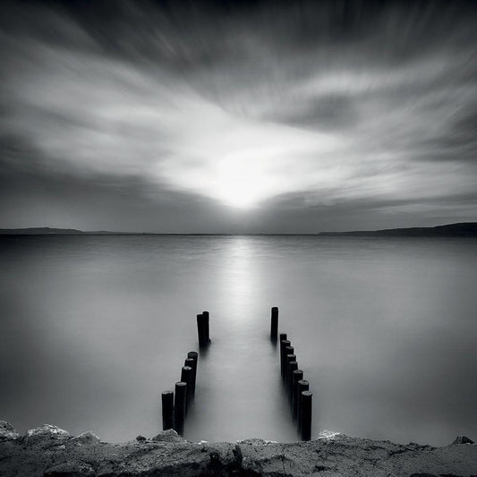 Image Only
