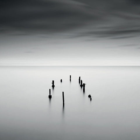 SÃ©renitÃ© Black Modern Wood Framed Art Print by Braun Studio