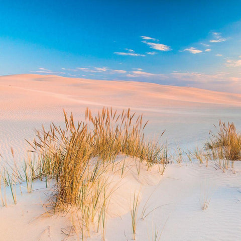 Plage 14 Gold Ornate Wood Framed Art Print with Double Matting by Braun Studio