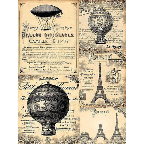 Gravures anciennes Black Modern Wood Framed Art Print with Double Matting by BRAUN Studio