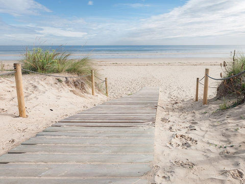 Plage Black Ornate Wood Framed Art Print with Double Matting by Braun Studio