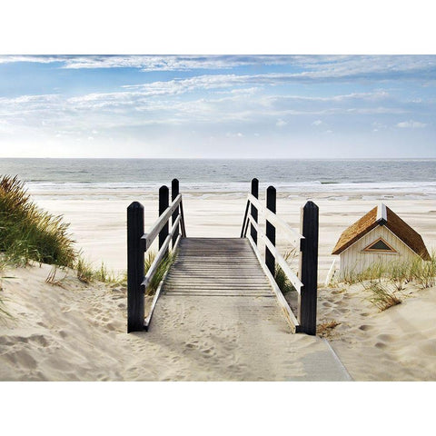 Plage Gold Ornate Wood Framed Art Print with Double Matting by Braun Studio