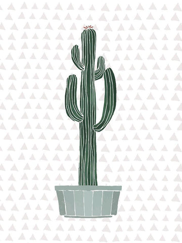 Cactus 2 White Modern Wood Framed Art Print with Double Matting by Braun Studio