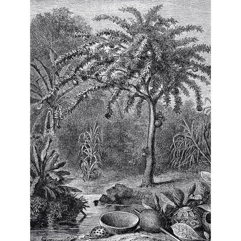 Arbre Gold Ornate Wood Framed Art Print with Double Matting by BRAUN Studio