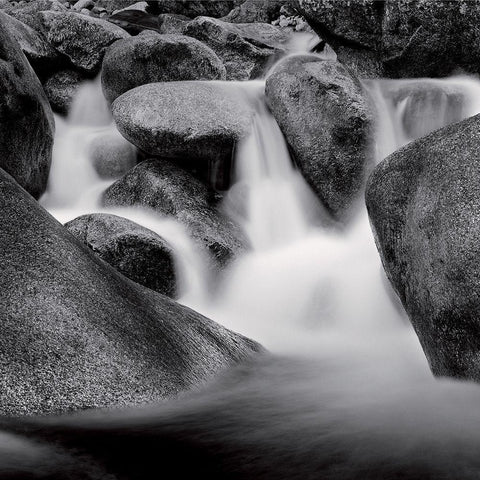 Restonica Black Modern Wood Framed Art Print by Poli, Jean-Philippe