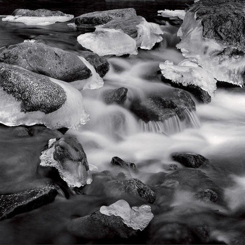 Castagniccia II Black Ornate Wood Framed Art Print with Double Matting by Poli, Jean-Philippe