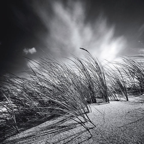 Suivre le vent White Modern Wood Framed Art Print with Double Matting by Etchepare, Alain