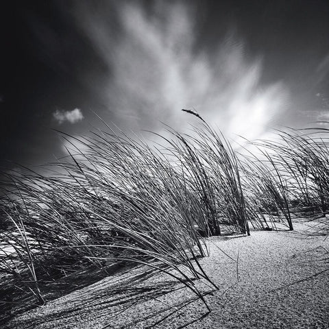 Suivre le vent Black Modern Wood Framed Art Print with Double Matting by Etchepare, Alain