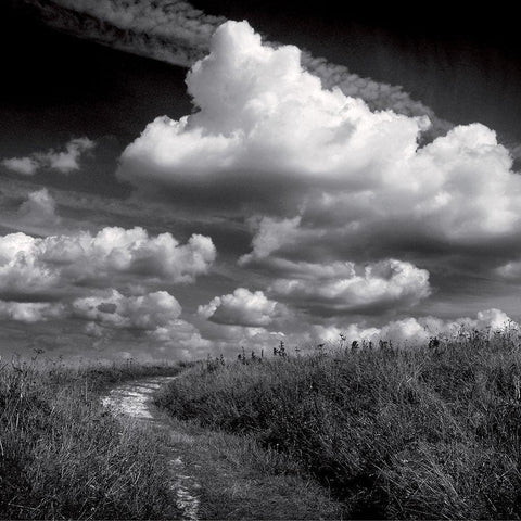 La clef des champs I Black Ornate Wood Framed Art Print with Double Matting by de Lattre, Pascal