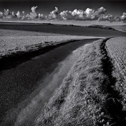 La clef des champs III White Modern Wood Framed Art Print by de Lattre, Pascal