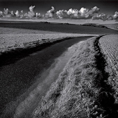 La clef des champs III White Modern Wood Framed Art Print with Double Matting by de Lattre, Pascal