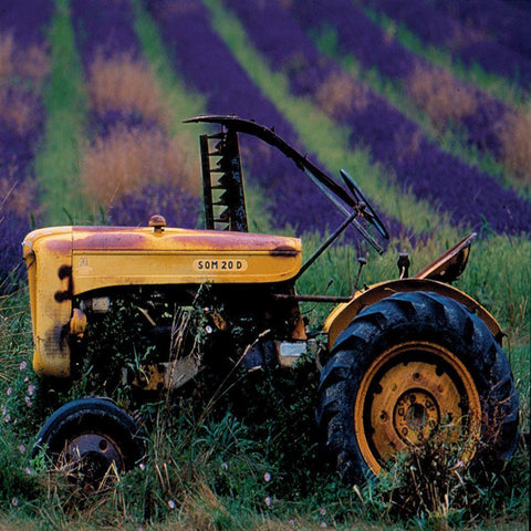 Le tracteur aux lavandes White Modern Wood Framed Art Print by Lautier, Julien