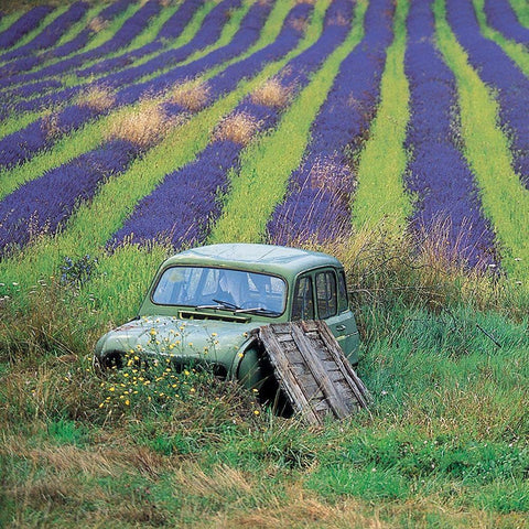 La 4L aux lavandes Black Modern Wood Framed Art Print with Double Matting by Lautier, Julien