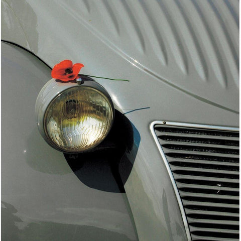 Le coquelicot et la Deuche White Modern Wood Framed Art Print by Lautier, Julien