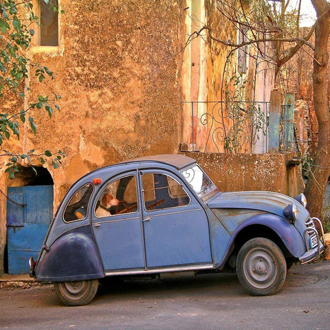 Le chien bleu White Modern Wood Framed Art Print with Double Matting by Lautier, Julien