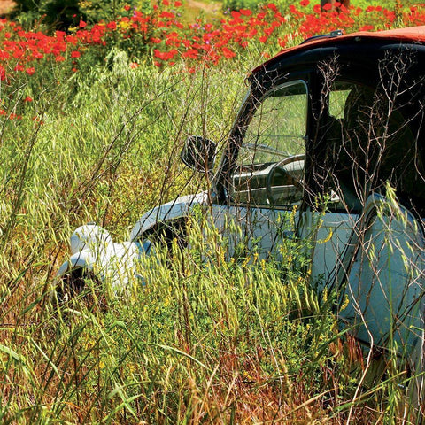 Au vert Black Ornate Wood Framed Art Print with Double Matting by Lautier, Julien