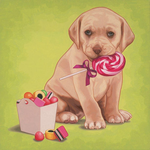 Lollypop lab Black Ornate Wood Framed Art Print with Double Matting by Cazenave, Maryline