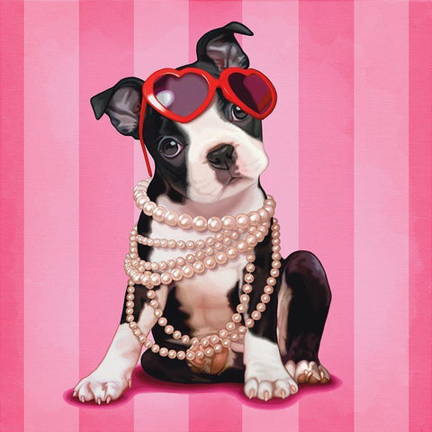 Boston terrier White Modern Wood Framed Art Print by Cazenave, Maryline