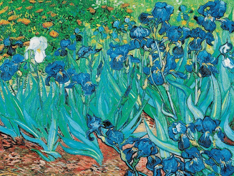Iris White Modern Wood Framed Art Print with Double Matting by van Gogh, Vincent