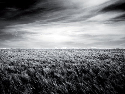 Le grand souffle White Modern Wood Framed Art Print with Double Matting by de Lattre, Pascal