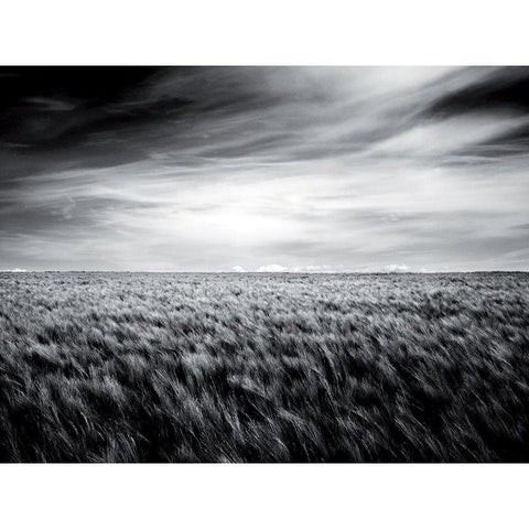 Le grand souffle Black Modern Wood Framed Art Print with Double Matting by de Lattre, Pascal