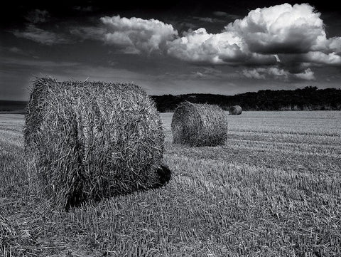 Alignement Black Ornate Wood Framed Art Print with Double Matting by de Lattre, Pascal