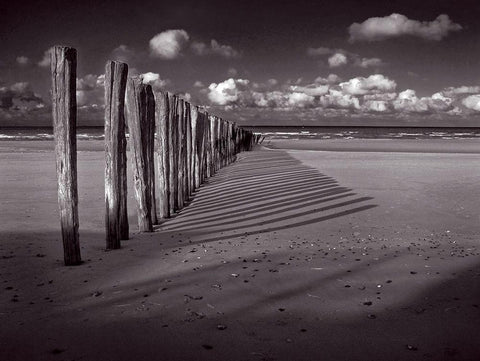 Jouer avec les allumettes Black Ornate Wood Framed Art Print with Double Matting by de Lattre, Pascal