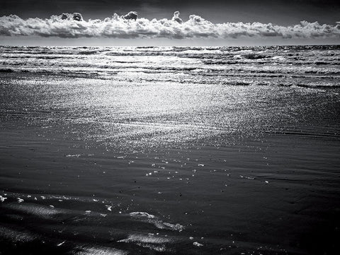 Perles de soleil Black Ornate Wood Framed Art Print with Double Matting by de Lattre, Pascal