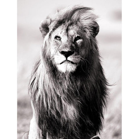 Majesty Black Modern Wood Framed Art Print by Blonde Attitude