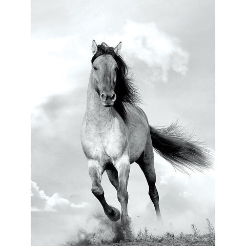 CriniÃ¨re au Vent Black Modern Wood Framed Art Print with Double Matting by Blonde Attitude