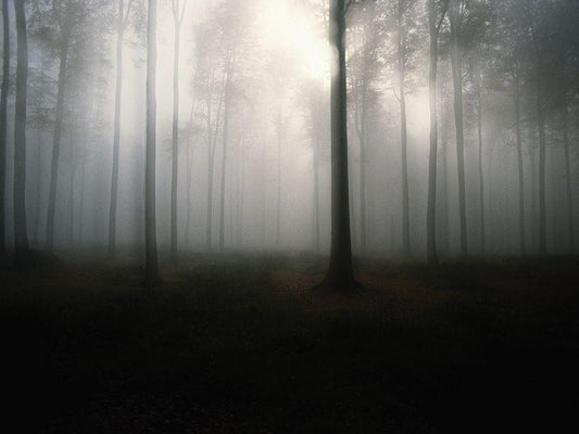 Image Only