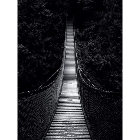 Bridge for nowhere Gold Ornate Wood Framed Art Print with Double Matting by Braun Studio