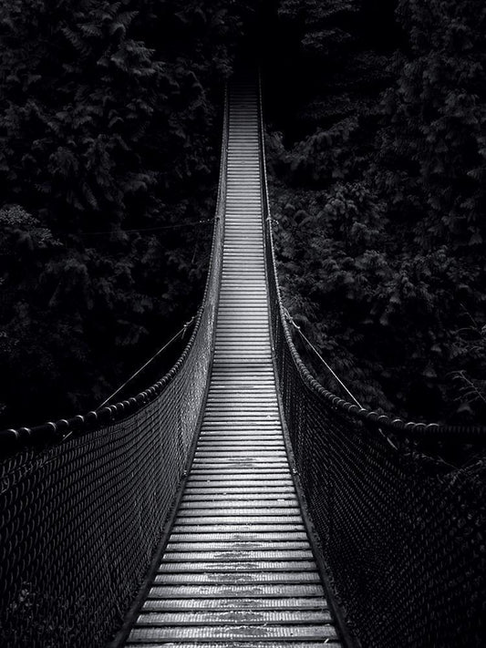 Image Only