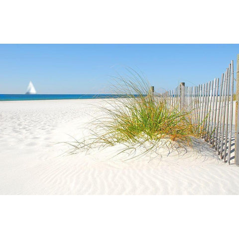 Plage V Black Modern Wood Framed Art Print by Braun Studio