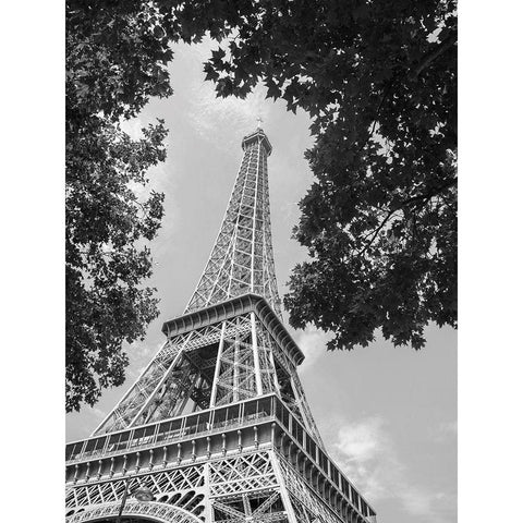 Tour Eiffel Black Modern Wood Framed Art Print with Double Matting by BRAUN Studio