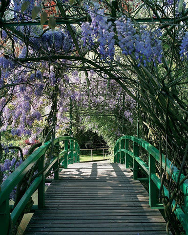 Jardin de Monet a Giverny I White Modern Wood Framed Art Print with Double Matting by Pinsard, Laurent
