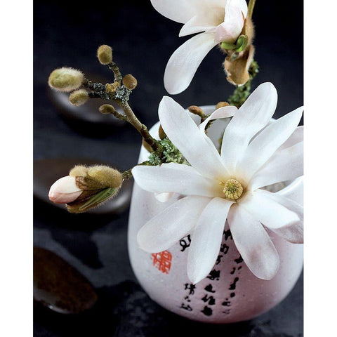 Composition Zen - Magnolia Stellata 1 White Modern Wood Framed Art Print by Beyler, Catherine