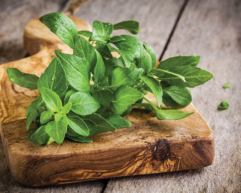 Food 1 White Modern Wood Framed Art Print with Double Matting by Braun Studio