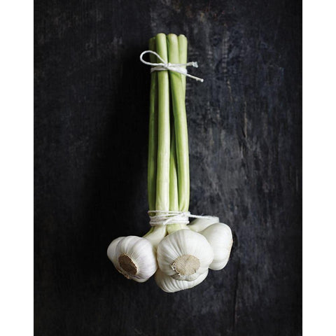 Food 4 Gold Ornate Wood Framed Art Print with Double Matting by Braun Studio