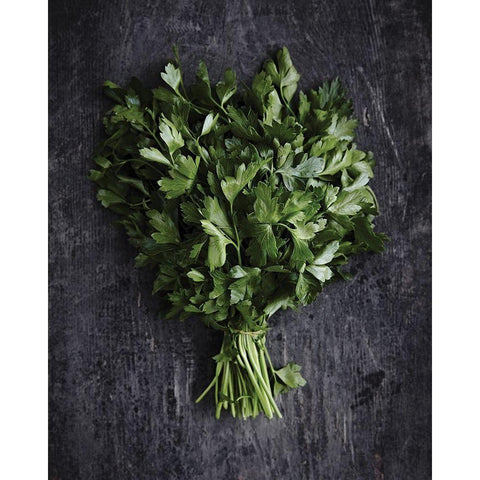 Food 6 Black Modern Wood Framed Art Print with Double Matting by Braun Studio