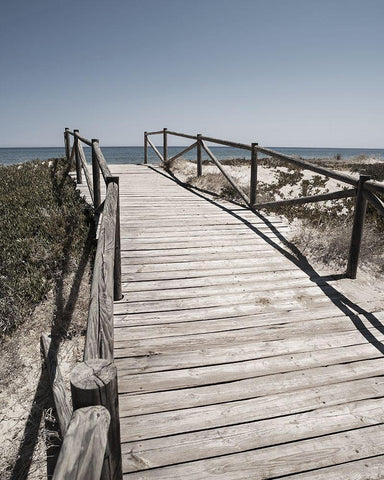 Plage 8 White Modern Wood Framed Art Print with Double Matting by Braun Studio