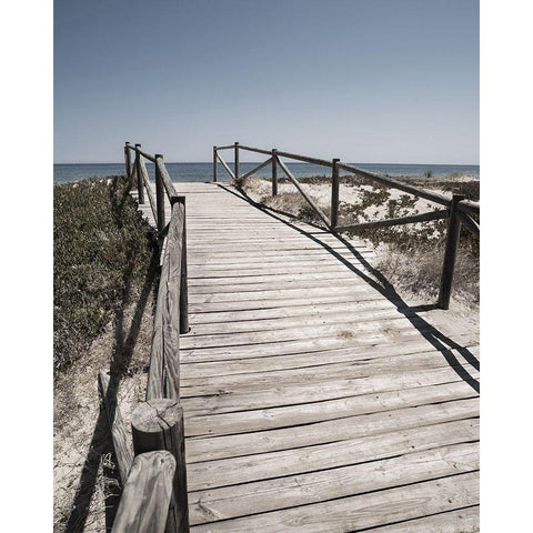 Plage 8 Black Modern Wood Framed Art Print by Braun Studio