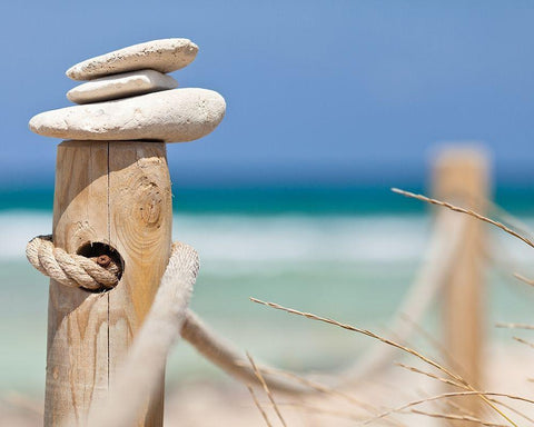 Plage 10 Black Ornate Wood Framed Art Print with Double Matting by Braun Studio