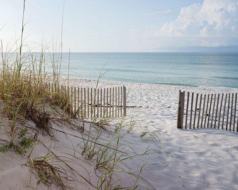 Plage 12 Black Ornate Wood Framed Art Print with Double Matting by Braun Studio