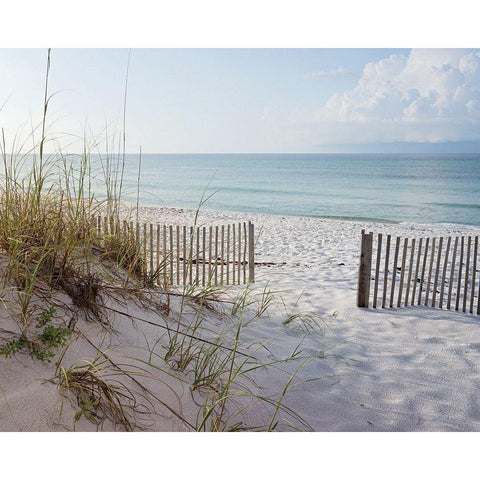 Plage 12 White Modern Wood Framed Art Print by Braun Studio