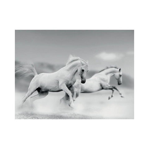 Galops blancs White Modern Wood Framed Art Print by Braun Studio