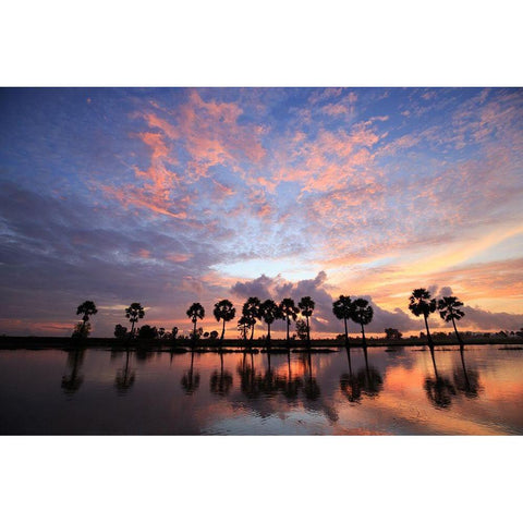 Coucher de soleil White Modern Wood Framed Art Print by Braun Studio