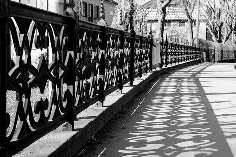 Ombre AlignÃ©e Black Ornate Wood Framed Art Print with Double Matting by Braun Studio